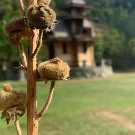 Etno Brvnara Tamara Casa vacanze *