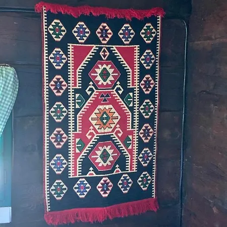 Etno Brvnara Tamara Casa vacanze *
