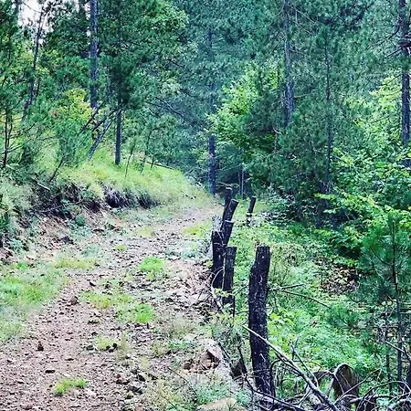 Etno Brvnara Tamara Casa vacanze Kremna