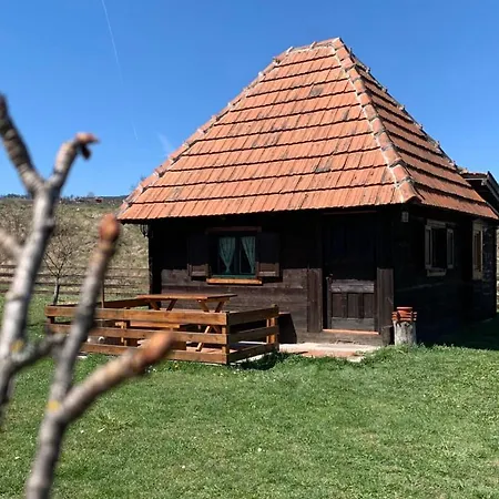 Etno Brvnara Tamara Holiday home