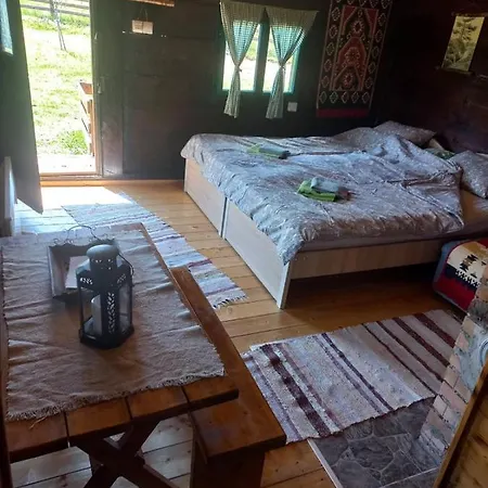 Etno Brvnara Tamara Holiday home