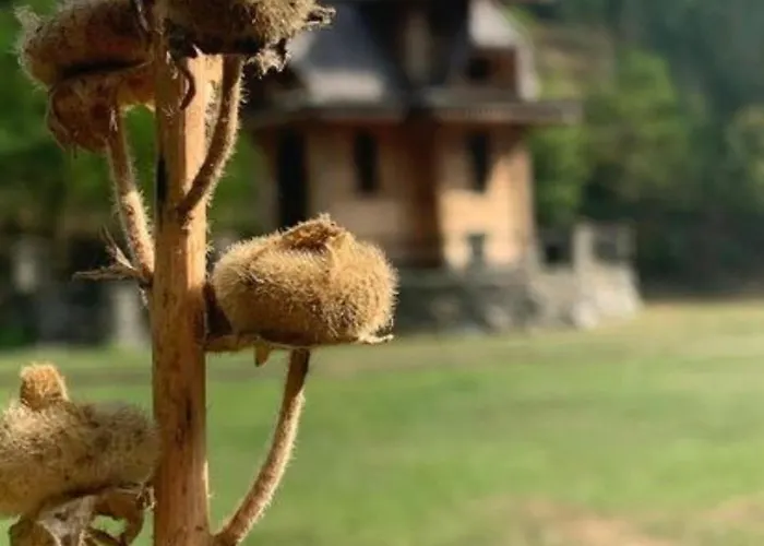 Etno Brvnara Tamara Casa de Férias *