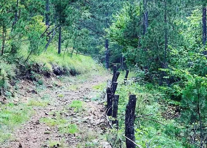 Etno Brvnara Tamara Casa de Férias Kremna